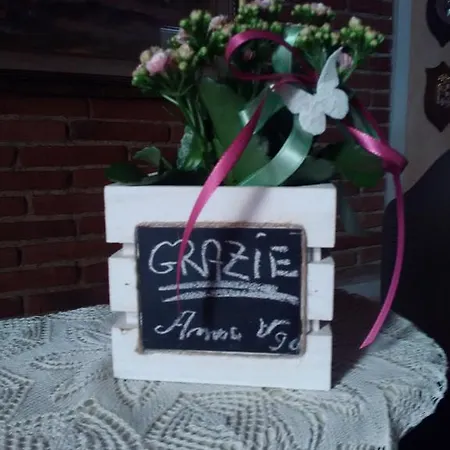 费多拉之家住宿加早餐旅馆 住宿加早餐酒店 4*